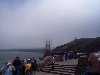 Thumb 
for DCP04395.JPG (53 
KB)
