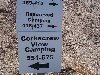 Thumb 
for DCP04449.JPG (151 
KB)