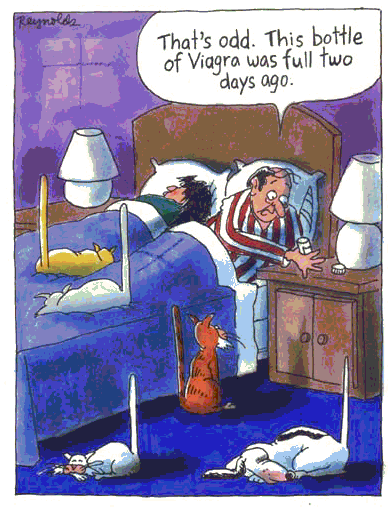 VIAGRA.GIF