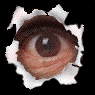 NAZO.GIF