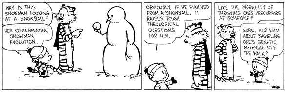 Evolution.gif