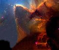 Thumb 
for TrifidNebula.jpg (20 
KB)