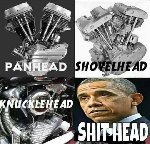 Thumb for shithead.jpg (97 
KB)