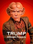 Thumb for GrandNagus.jpg (55 
KB)
