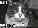 Thumb for not-funny.jpg (32 
KB)