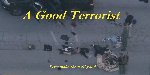 Thumb for AGoodTerrorist.jpg (43 
KB)