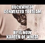 Thumb for buckwheat.jpg (66 
KB)