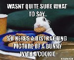 Thumb for distraction-meme-generator-wasnt-quite-sure-what-to-say-so-heres-a-distracting-picture-of-a-bunny-with-a-cookie-0de61b.jpg (51 
KB)