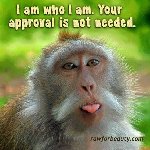 Thumb for iam.jpg (45 
KB)