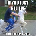 Thumb for 9412713.jpg (122 
KB)