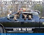 Thumb for moose-beer-man-tied-truck-we-dont-have-time-to-explain-get-in-the-car-funny-meme.jpg (241 
KB)