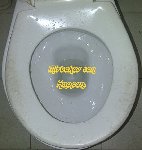 Thumb for wet-b-seat.jpg (47 
KB)