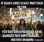 Thumb for 13726624_10154390074917360_4621913365932977891_n.jpg (52 
KB)