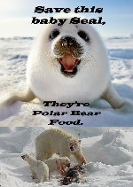 Thumb for polarbearfood.jpg (54 
KB)