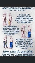 Thumb for 109933651_10157357873061711_1503826177730282402_n.jpg (53 
KB)