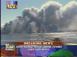 WTC TOWERS FALL Picture